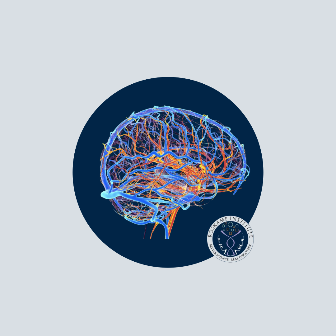Roskamp Ph.D. Graduate Awarded NIH Grant to Advance Research into Vascular Cognitive Impairment and Dementia